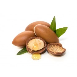 Gel à l’aloe vera - rose musquée - argan 500ml | Distribuidor ofici...