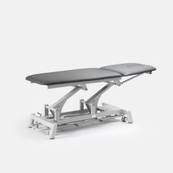 Table électrique Titan 301 | Distributeur officiel de SilverFox