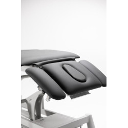 Table électrique Titan 304F | Distributeur officiel de SilverFox
