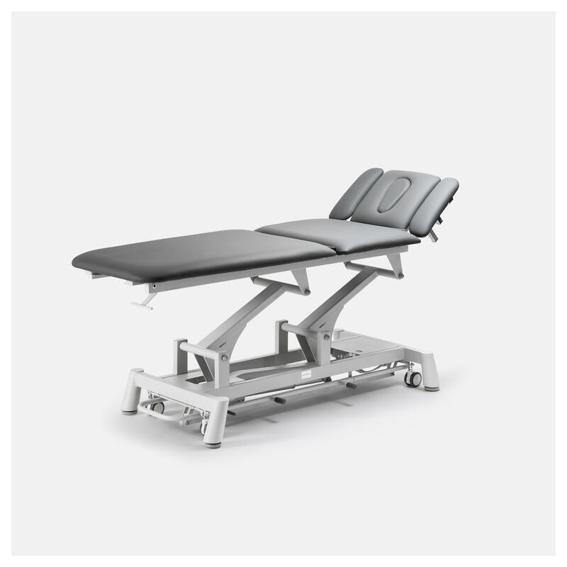 Table électrique Titan 304F | Distributeur officiel de SilverFox
