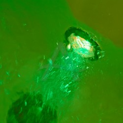 Bain de Pieds Meta | Fournisseur spécialisé de manucure et de pédic...
