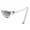 Lampe loupe à leds Mane | Distributeur officiel de WEELKO