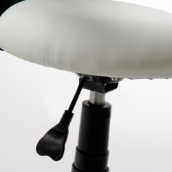 Tabouret avec dossier Ergo | Distributeur officiel de WEELKO