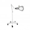 Lampe loupe à leds Mane | Distributeur officiel de WEELKO