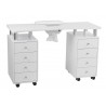 Table manucure Distal (aspirateur) | Fournisseur spécialisé de manu...