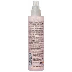 Spray hygiènique mains 195 ml | Distributeur officiel de Kaeso