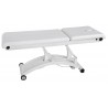 Table électrique Cervic (1 moteur)
