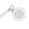 Lampe loupe Nox sur pied | Distributeur officiel de WEELKO